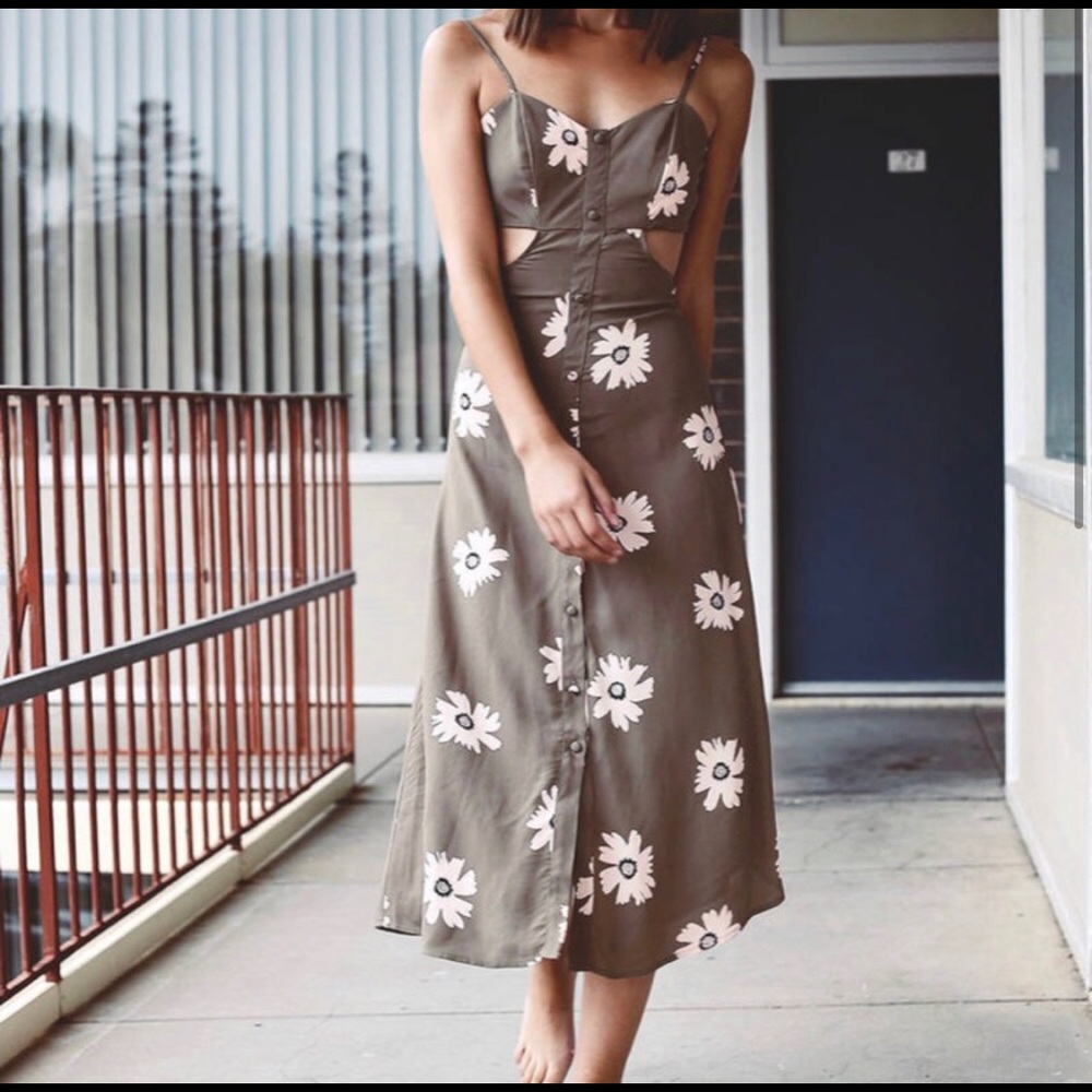 NWT Flynn Skye Mallory Dress Rosey Swamp Blossom